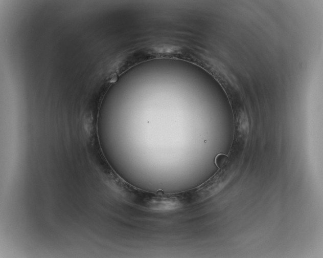 X0000111780559200907231125