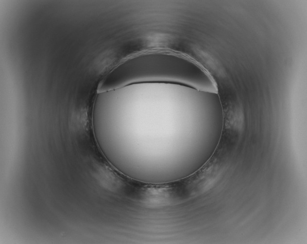 X0000111780560200907231125