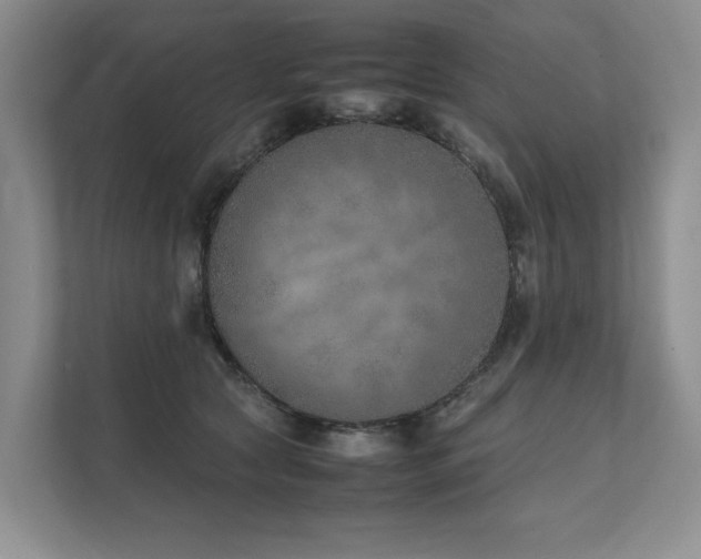 X0000111780561200907231125