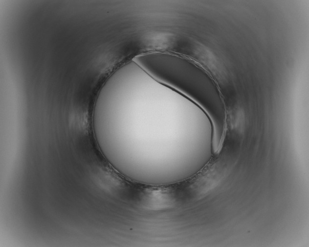 X0000111780564200907231125