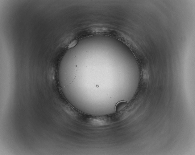 X0000111780567200907231125