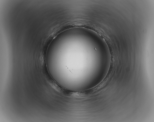 X0000111780568200907231125