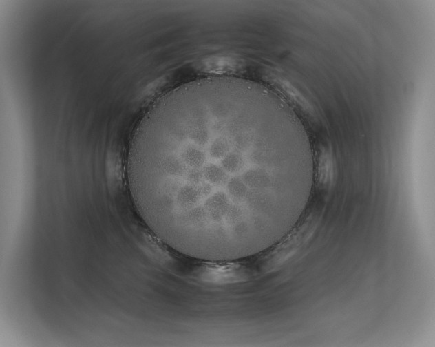 X0000111780569200907231125