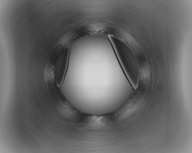 X0000111780570200907231125