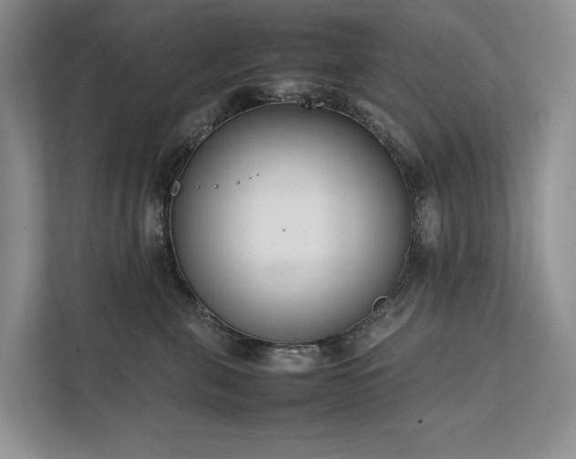 X0000111780571200907231125