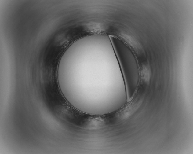 X0000111780572200907231125