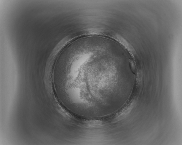 X0000111780577200907231124