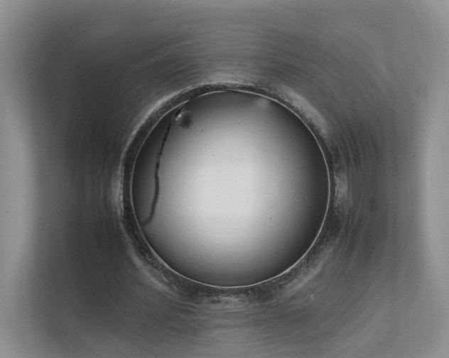 X0000111780580200907231124