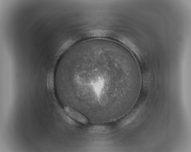 X0000111780581200907231124