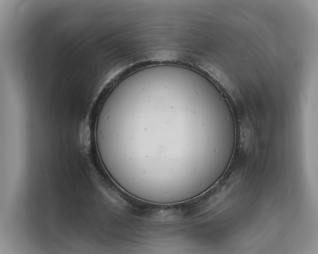 X0000111780584200907231124