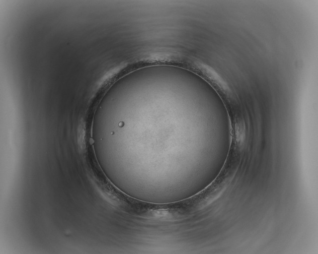 X0000111780588200907231124