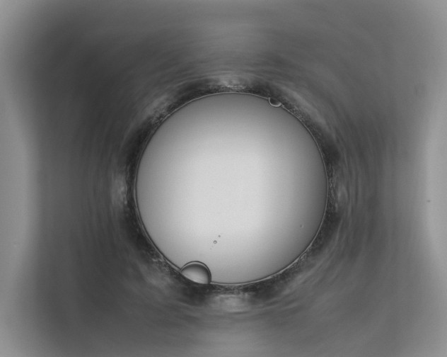 X0000111780595200907231124
