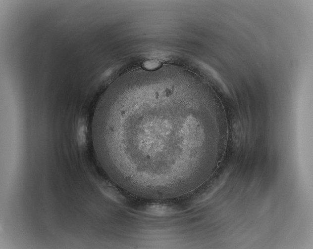 X0000111780596200907231124