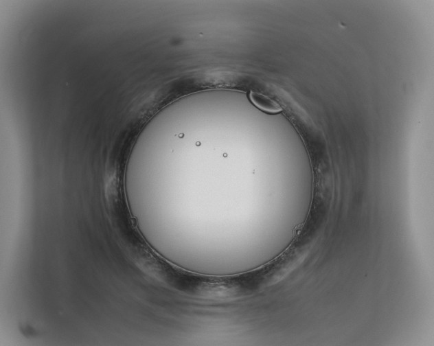 X0000111780597200907231124