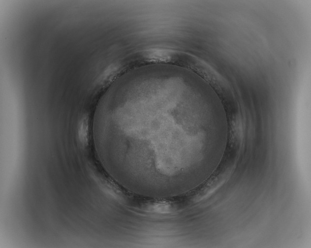 X0000111780600200907231124