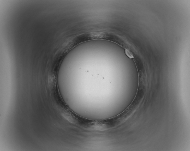 X0000111780601200907231124