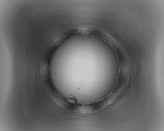X0000111780603200907231124