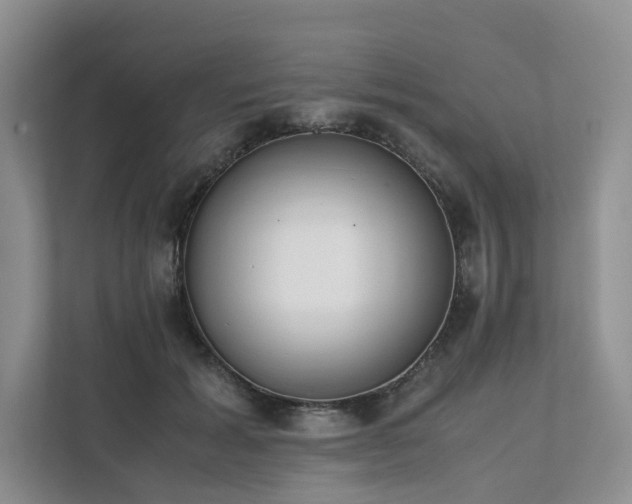 X0000111780605200907231124