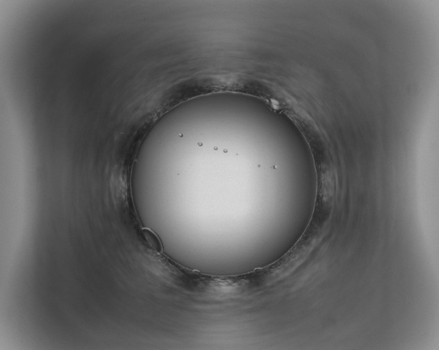 X0000111780613200907231124