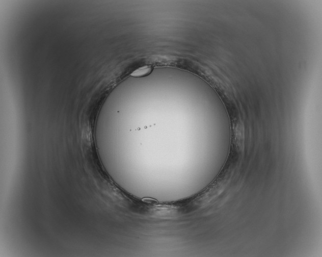 X0000111780617200907231124