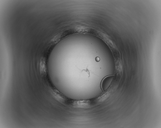 X0000111780622200907231124
