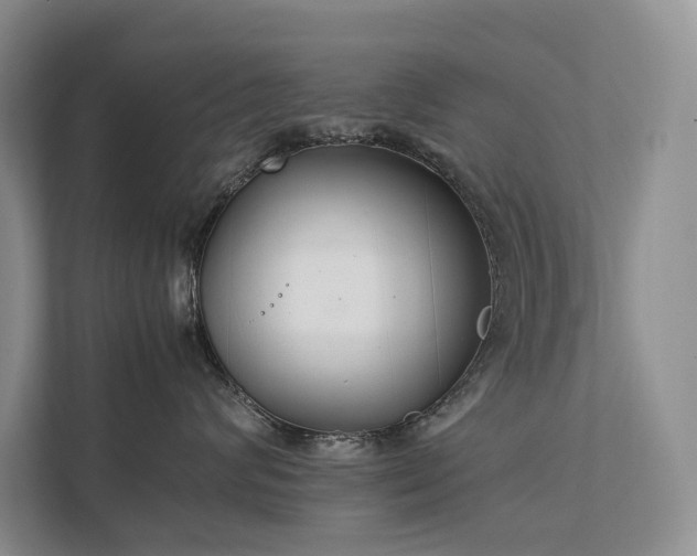 X0000111780624200907231124
