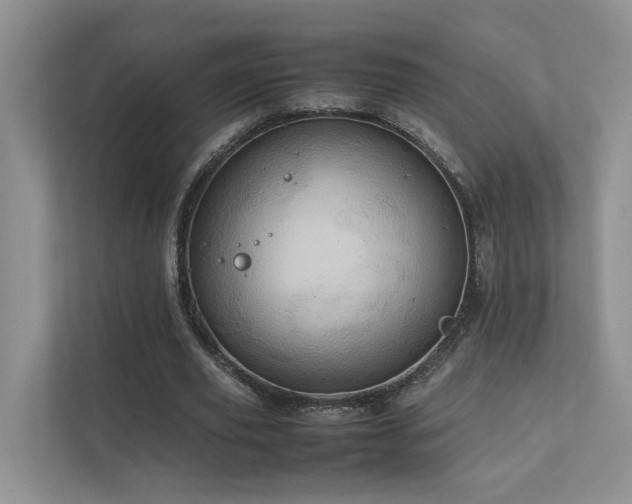 X0000111780629200907231123