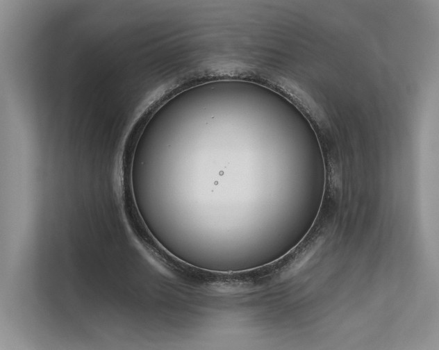 X0000111780630200907231123