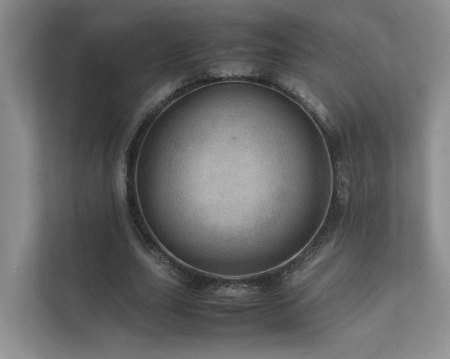 X0000111780631200907231123