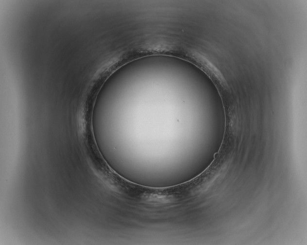X0000111780635200907231123
