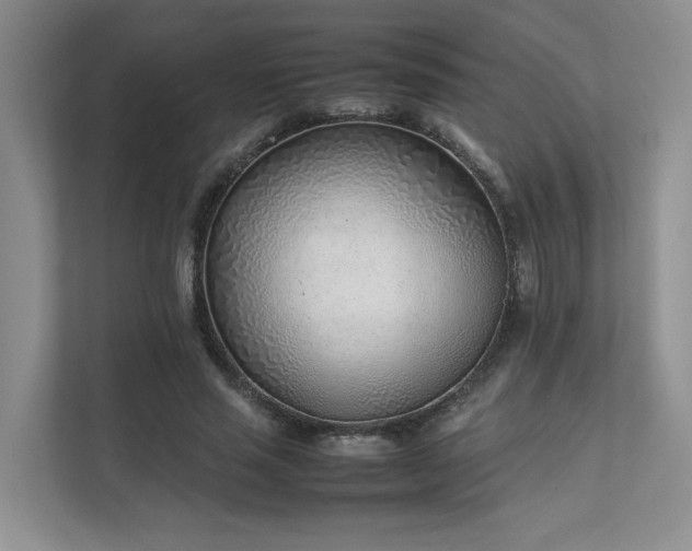X0000111780637200907231123