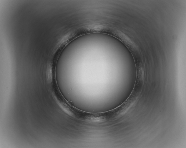 X0000111780638200907231123