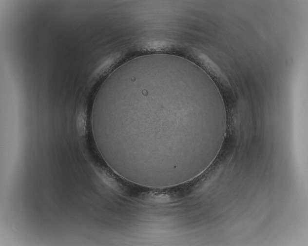 X0000111780640200907231123