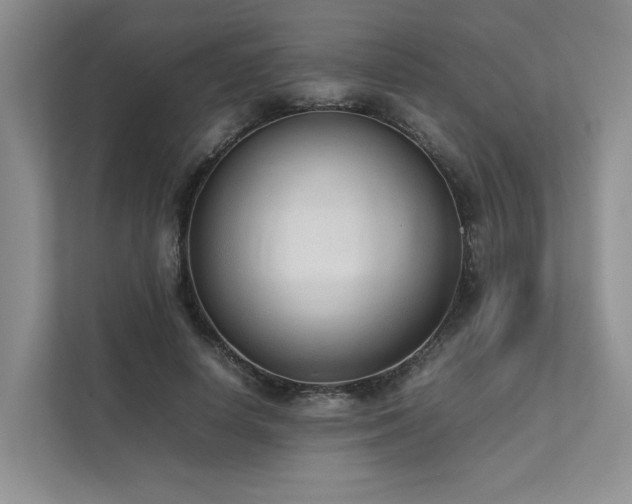 X0000111780642200907231123