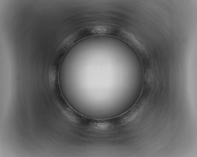 X0000111780645200907231124