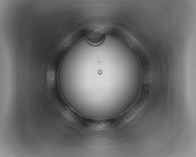 X0000111780646200907231124