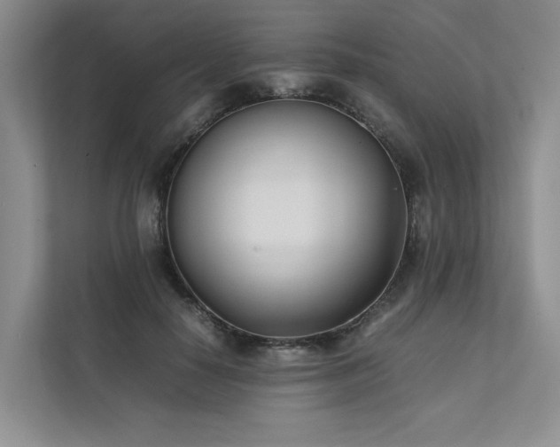 X0000111780650200907231124