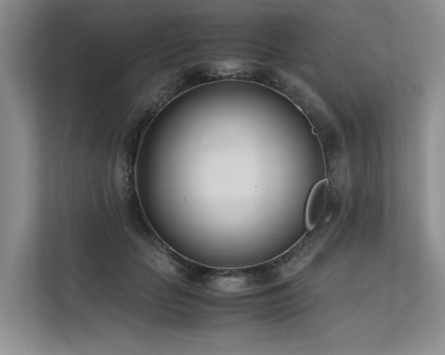 X0000111780653200907231124