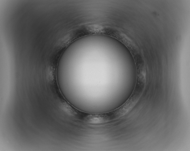 X0000111780658200907231124