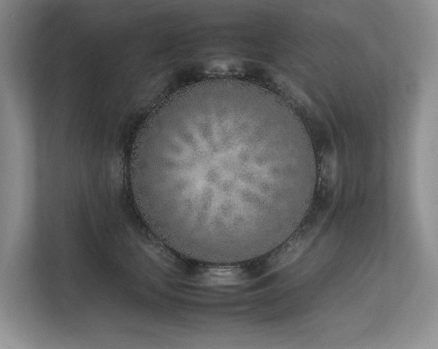 X0000111780659200907231124
