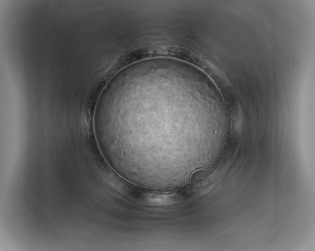 X0000111780661200907231124