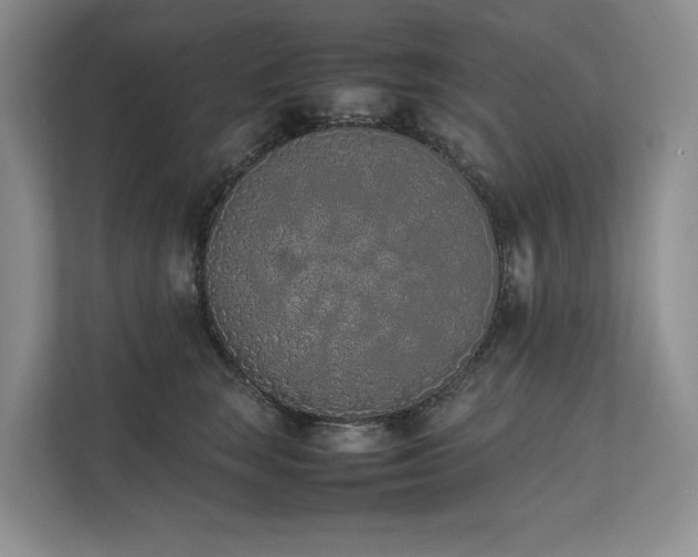 X0000111780663200907231124