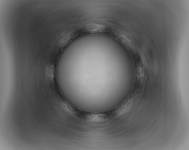 X0000111780664200907231124