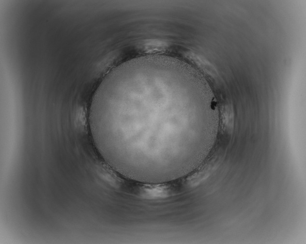 X0000111780667200907231124