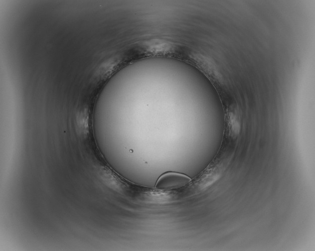 X0000111780668200907231124