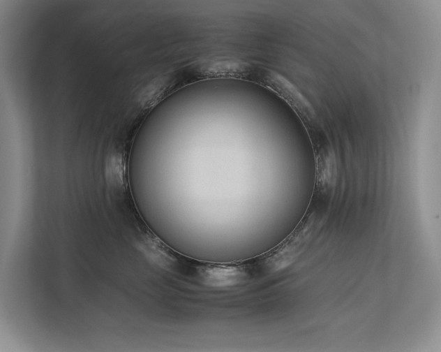 X0000111780669200907231124