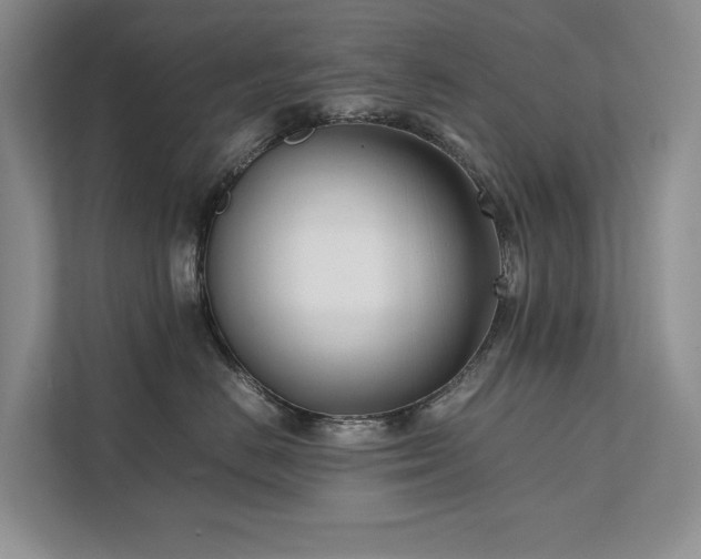 X0000111780670200907231124