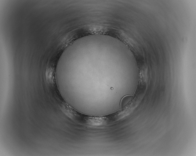X0000111780671200907231124