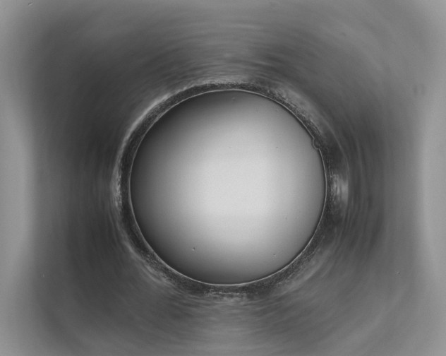 X0000111780676200907231123