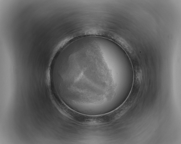 X0000111780678200907231123
